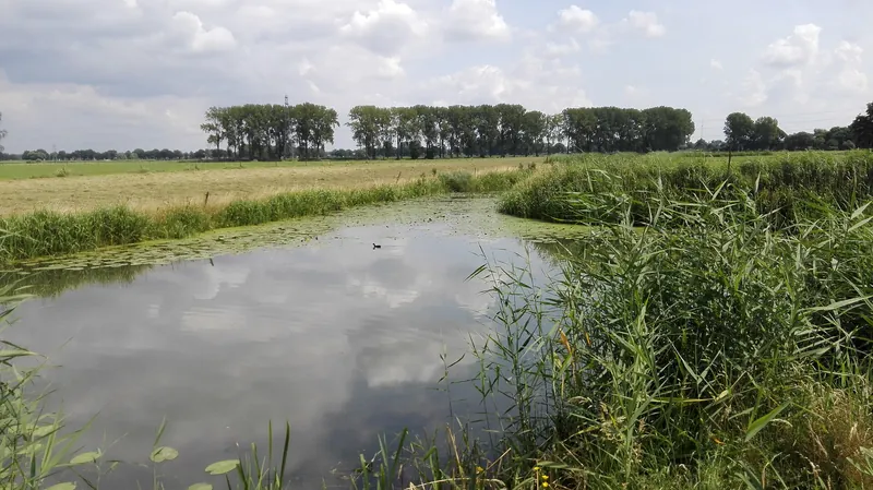Valleikanaal in het Binnenveld